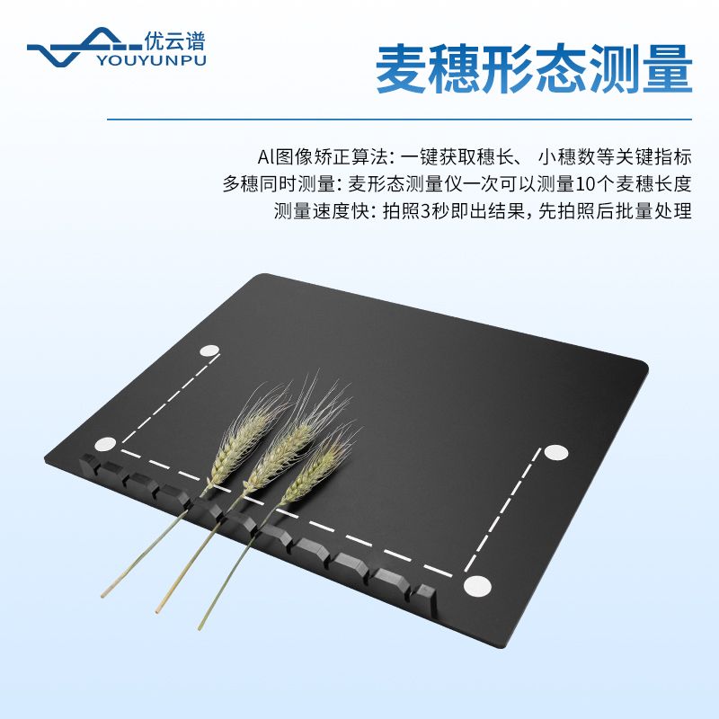 小麥表型檢測系統