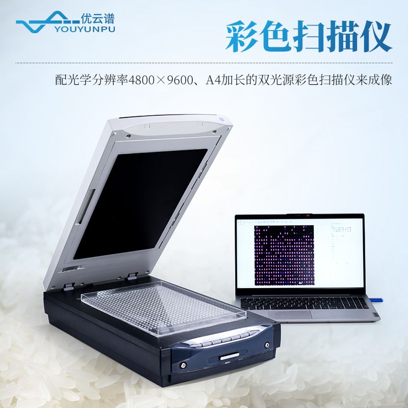 大米外觀品質(zhì)檢測(cè)儀