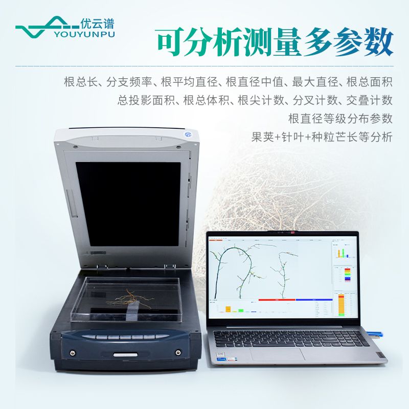 根系分析系統(tǒng)