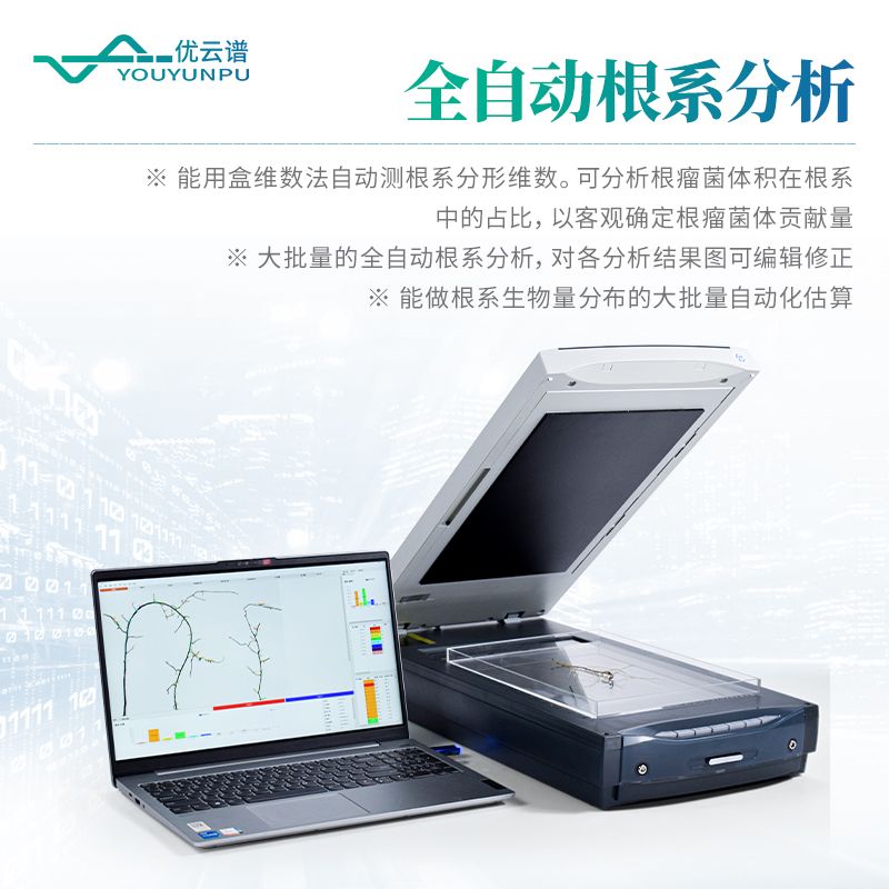 根系分析系統(tǒng)