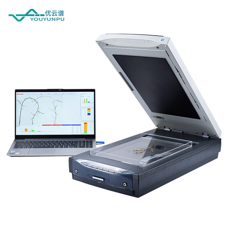 根系分析系統品牌深度對比：批量保存 + 可編輯修正 + 分叉合并操作誰更強