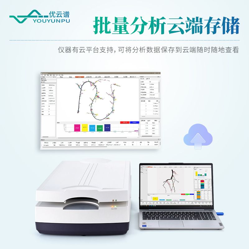 植物根系圖像分析儀